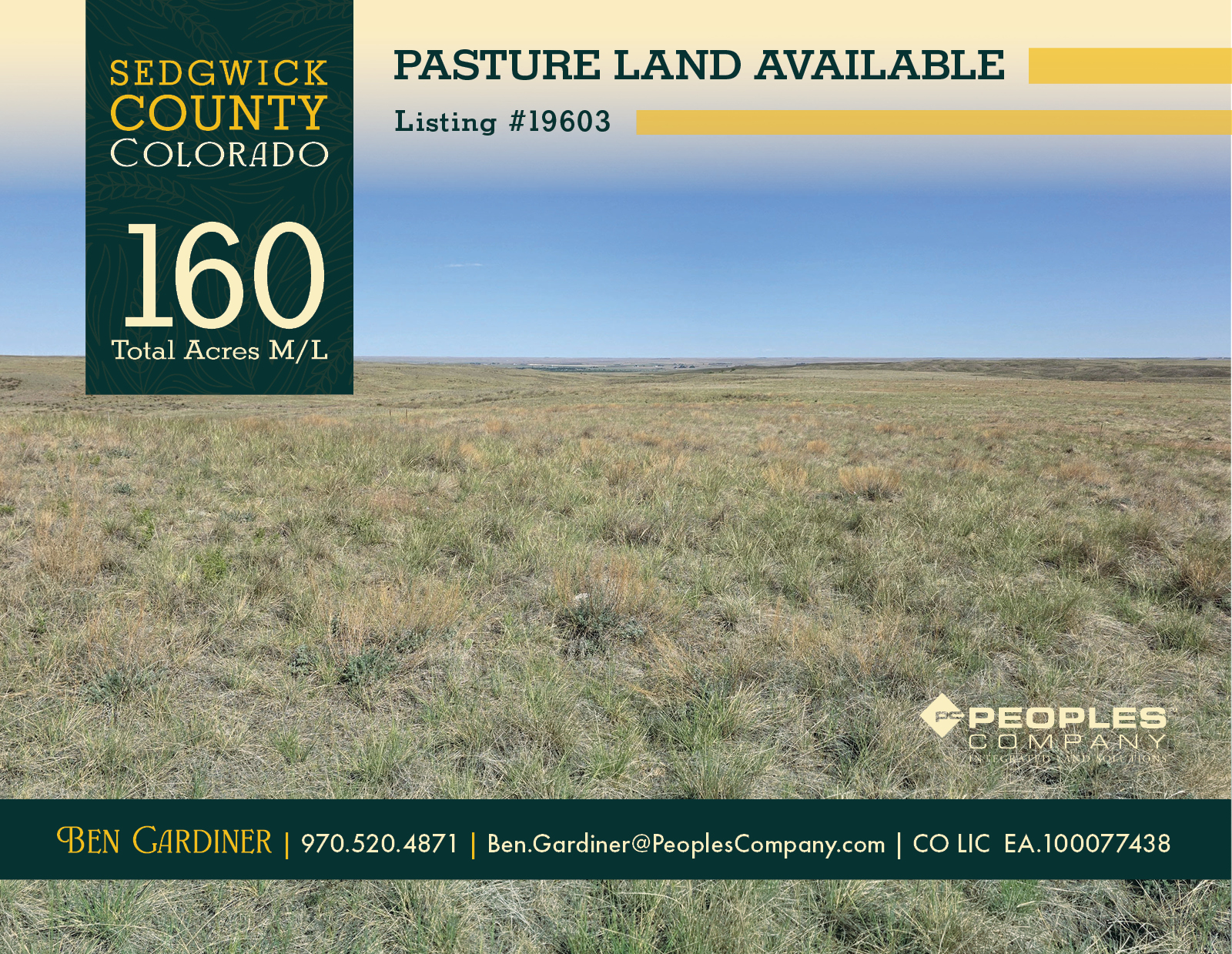 Listing #19603